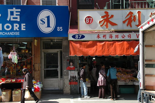 DSC 0103