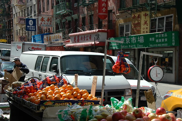 DSC 0102