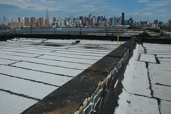 DSC 0350
