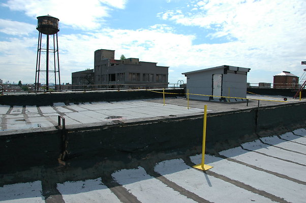 DSC 0345