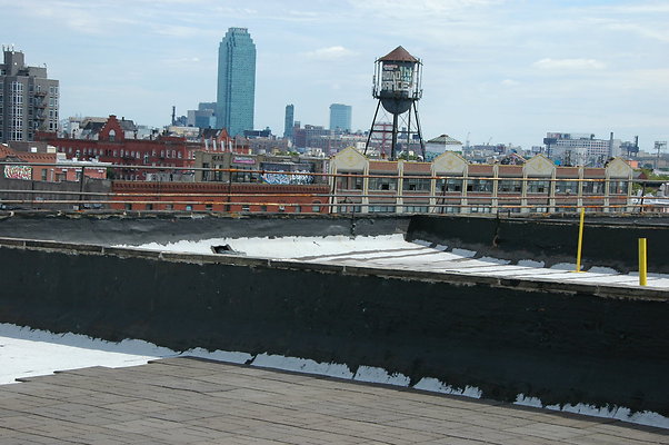 DSC 0359