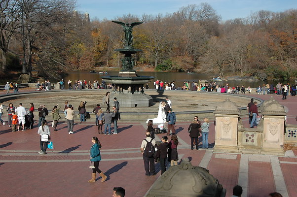 DSC 0425