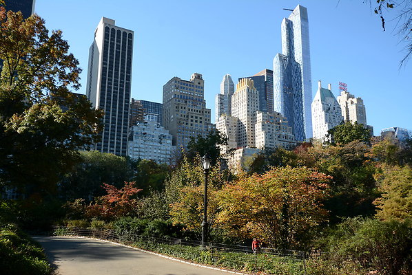 DSC 7164