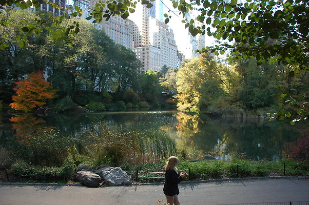 Central Park