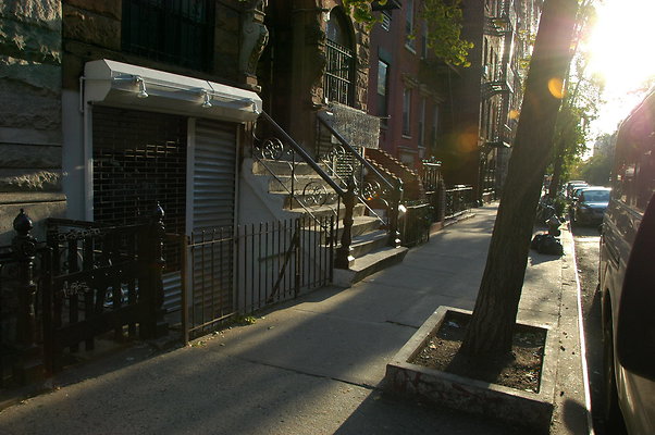 DSC 9508