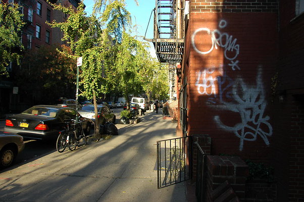 DSC 9504