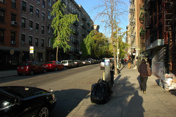 DSC 9497