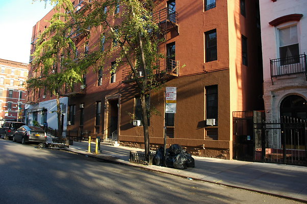 DSC 9515