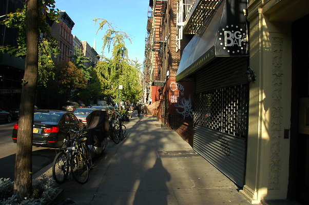DSC 9503