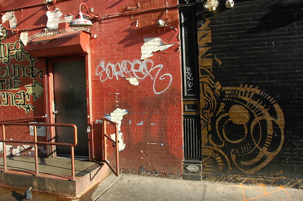DSC 9635