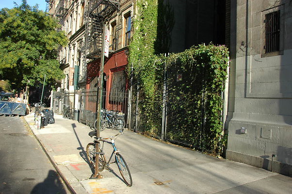 DSC 9651