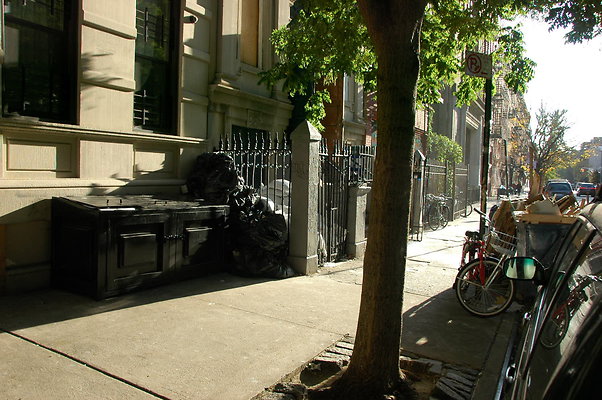 DSC 9654