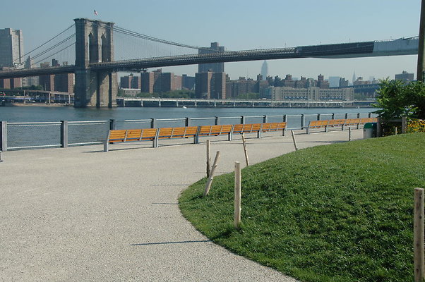DSC 0291