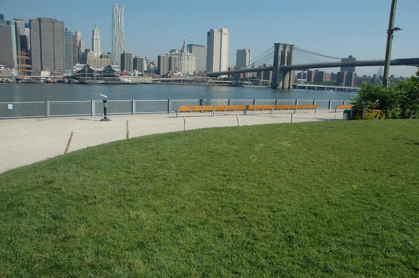 DSC 0319