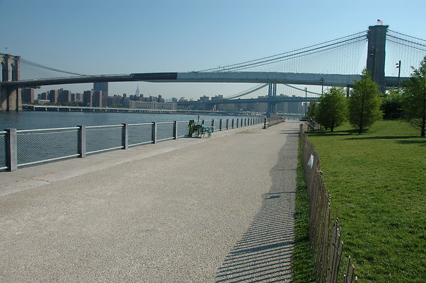 DSC 0229