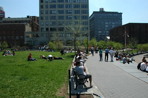DSC 0065