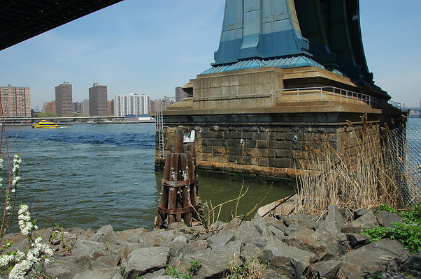 DSC 0054