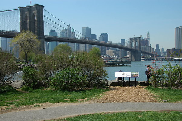 DSC 0073