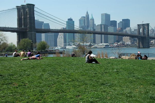 DSC 0050