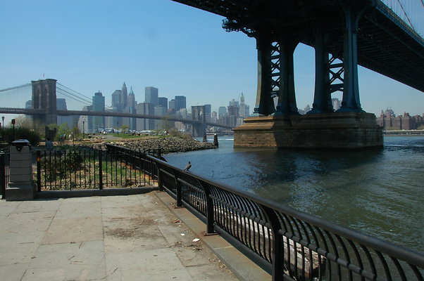 DSC 0039
