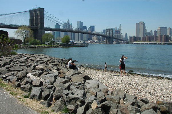 DSC 0008