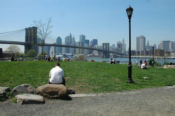 DSC 0031