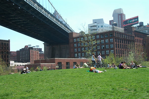 DSC 0023