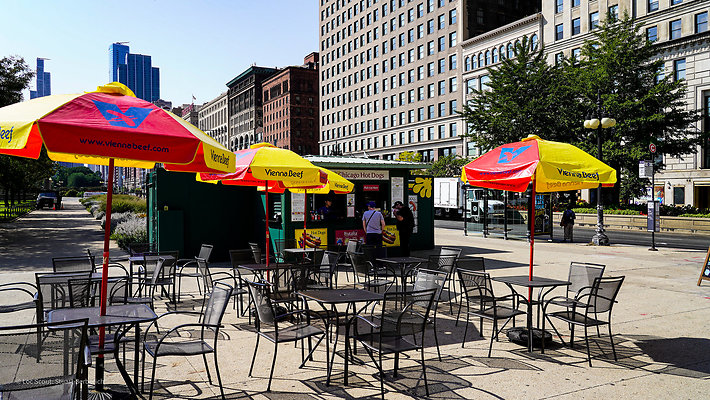 hot dog stand michigan avenue