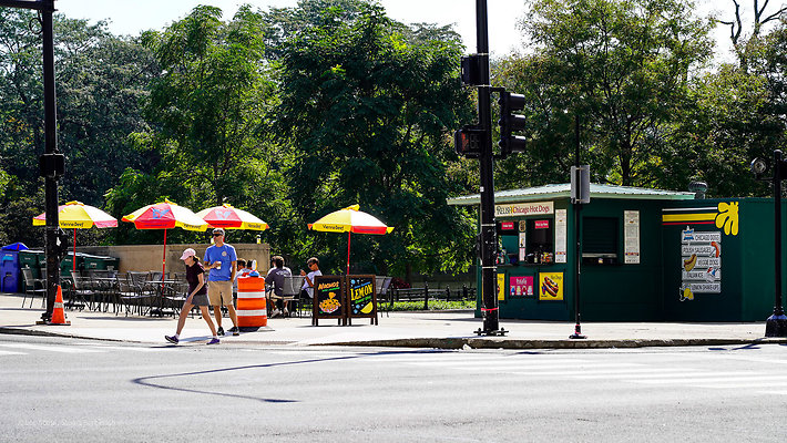 Hot Dog Stand Michigan Ave 18