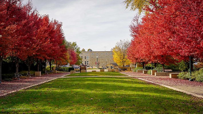 Lockport, IL 107 - www.scout911.com