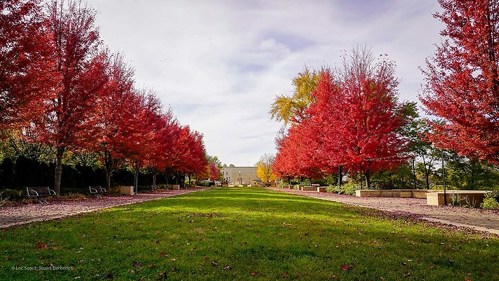 Lockport, IL 108 - www.scout911.com