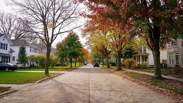 Hinsdale, IL 15 - www.scout911.com