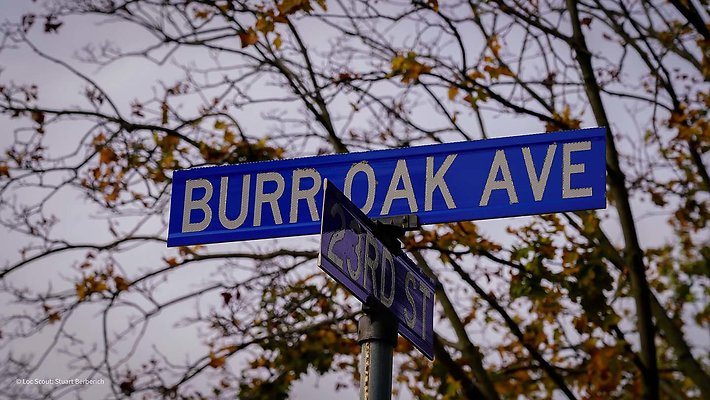 Berwyn, IL 6 - www.scout911.com