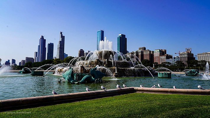 Buckingham Fountain 27 - www.scout911.com