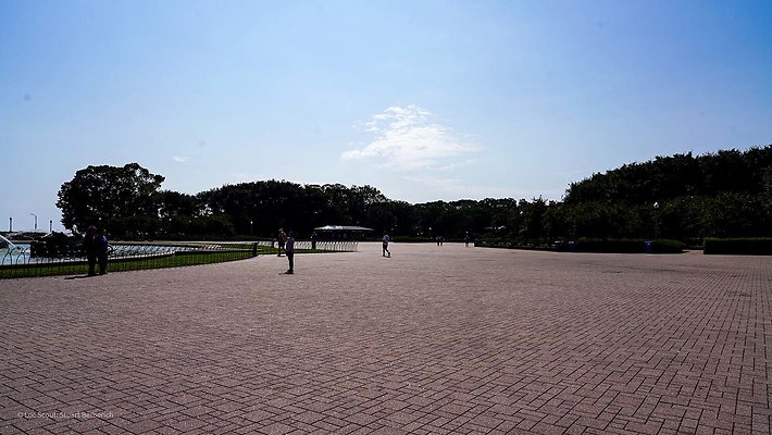 Buckingham Fountain 37 - www.scout911.com