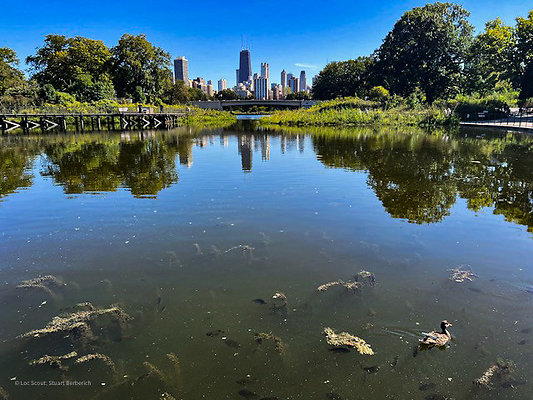 lincoln park pavillion
