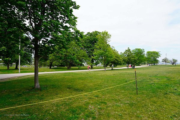 North Ave Beach 5 - www.scout911.com