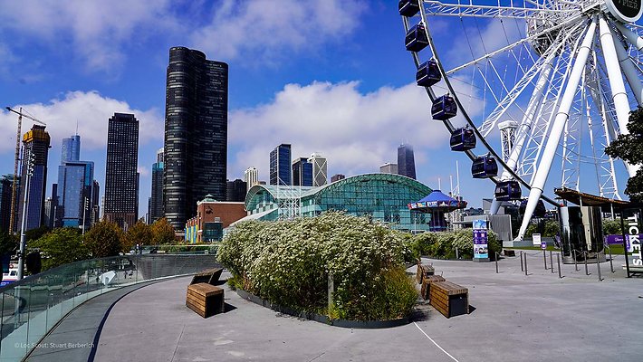 Navy Pier 5 - www.scout911.com