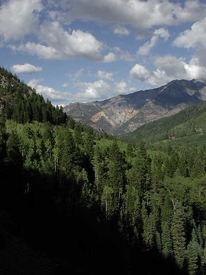 DSCN1761
