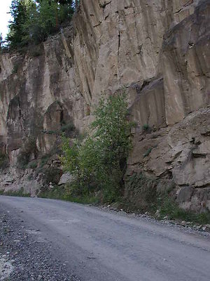 DSCN1753