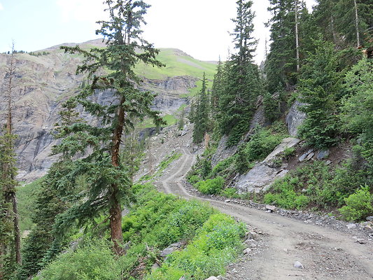 IMG 5123-X3 - "                               "