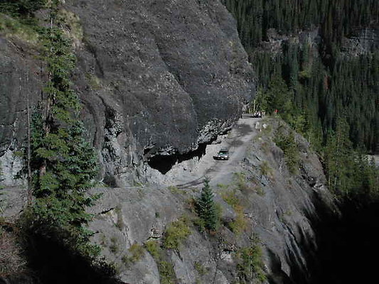 Camp bird 10
