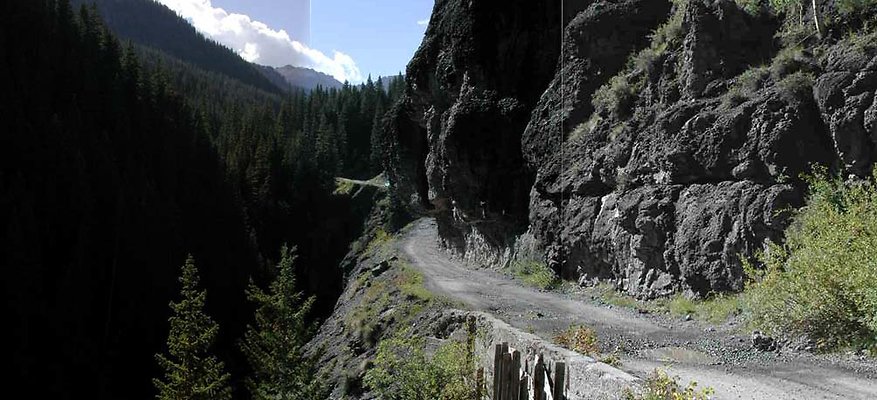 ouray - camp bird