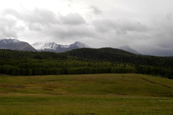 Telluride Silver (4)