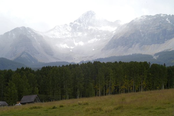 Telluride Silver (15)