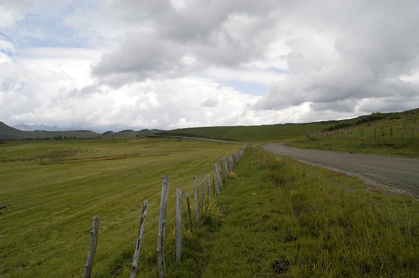 Telluride Silver (7)