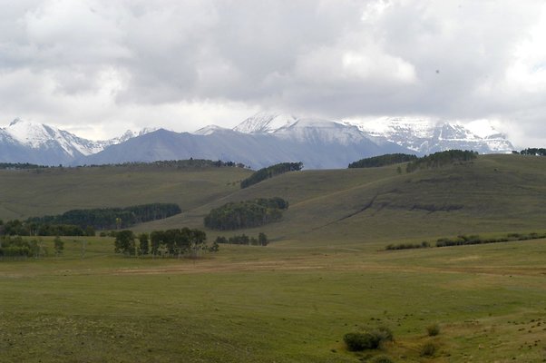 Telluride Silver (13)