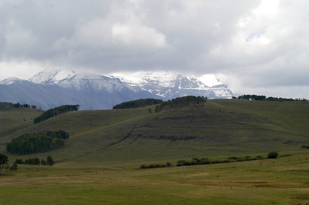 Telluride Silver (14)