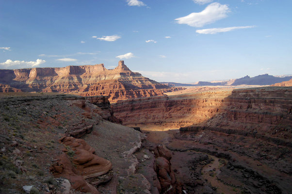 Fossil Point (1)-1