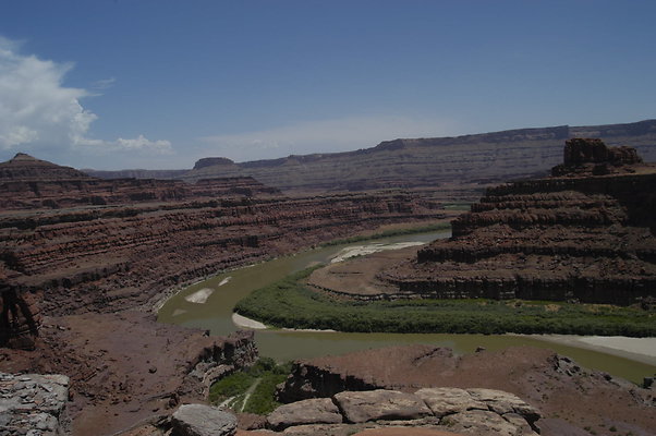 Fossil Point 005